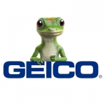 Geico Insurance Name Badge